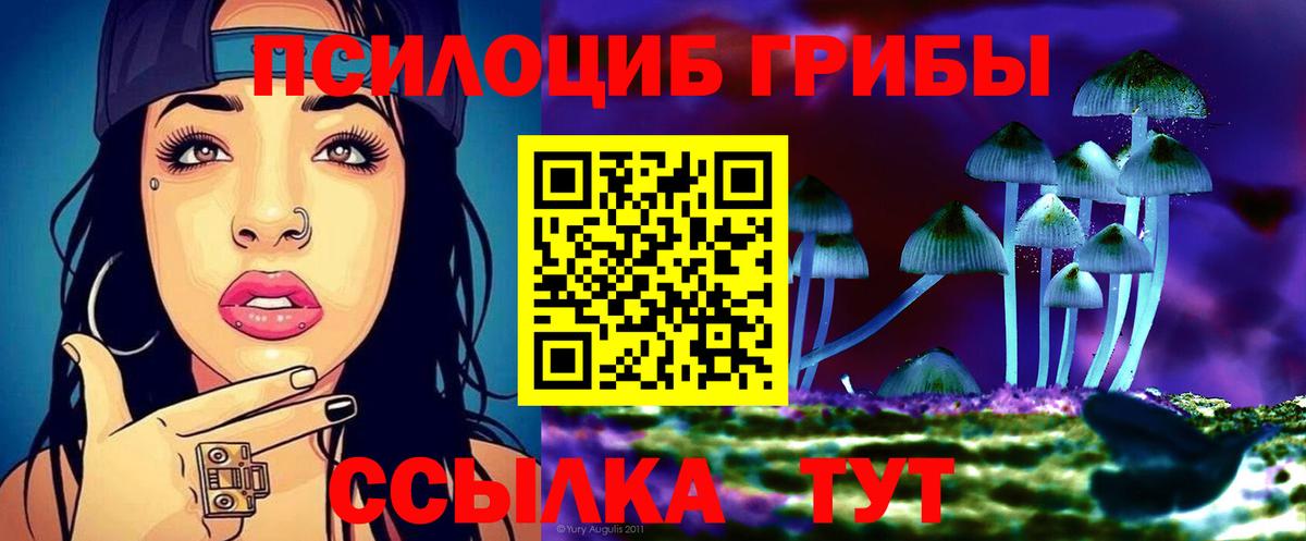 Галлюциногенные грибы Psilocybe  Вход с VPN  Азнакаево  продажа наркотиков  Псилоцибиновые грибы GOLDEN TEACHER 