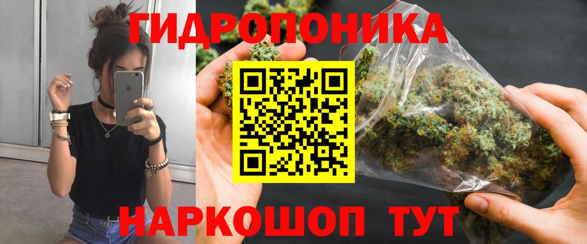 Азнакаево  Марихуана план  Бошки марихуана Amnesia  Марихуана ГИДРОПОН  Вход с VPN 